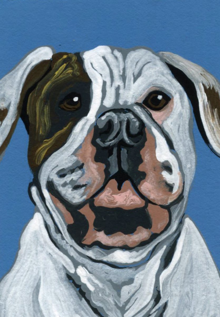 ACEO ATC Original Miniature Painting White American Bulldog Pet Dog Art-Carla Smale by carla smale