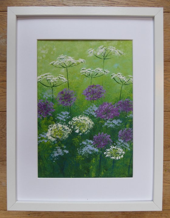 Alliums and Cow Parsley