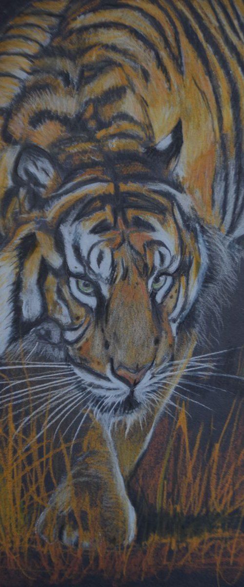 'Tyger, Tyger' by Nicola Colbran