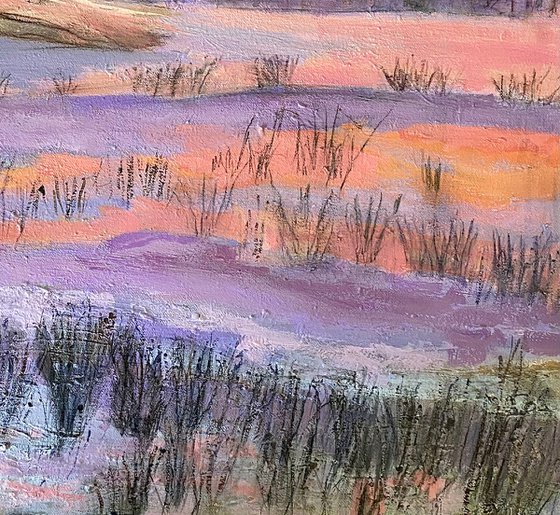 Sunrise And Grasses