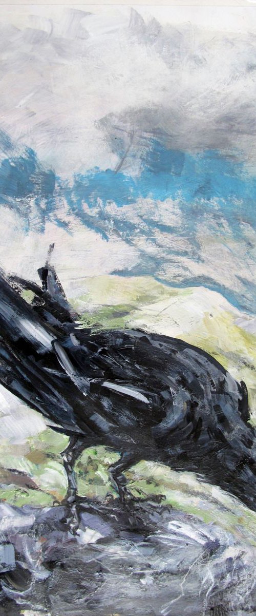 Raven, Fairfield, Cumbria by John Sharp