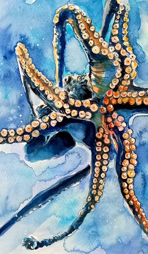 Octopus by Kovács Anna Brigitta