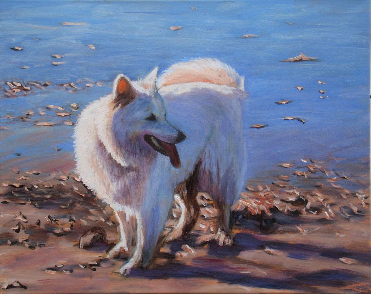Dog at the sea 3 by Elena Sokolova