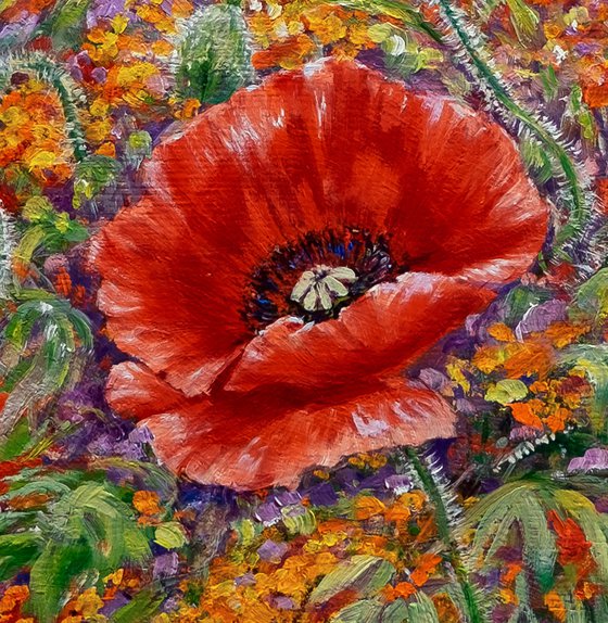 "Poppies with yellow flowers"