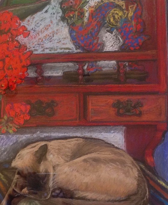 Bob the cat on the dresser