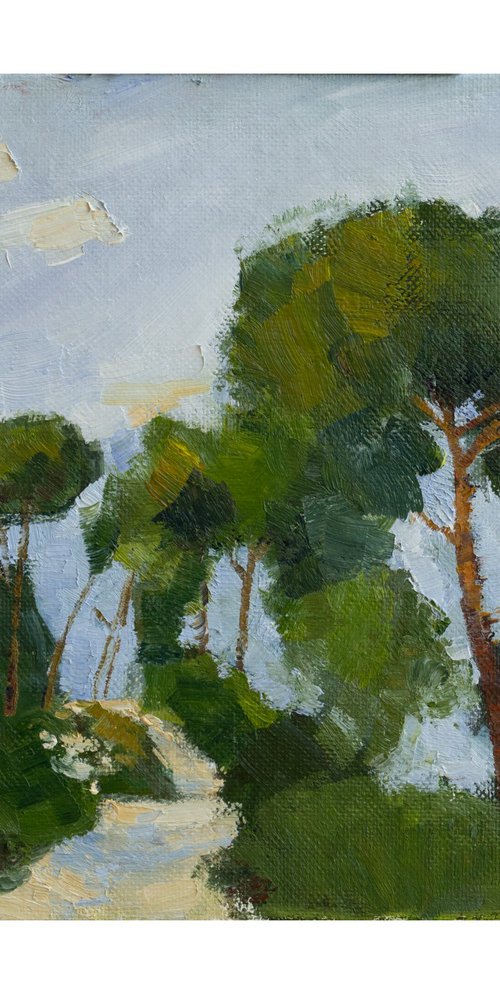 Mediterranean Pines by OLEG KAMAEV