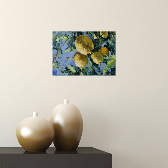 Lemon garden.