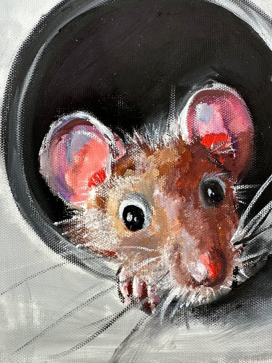 Curiosity in the Shadows: Mouse in a Pipe