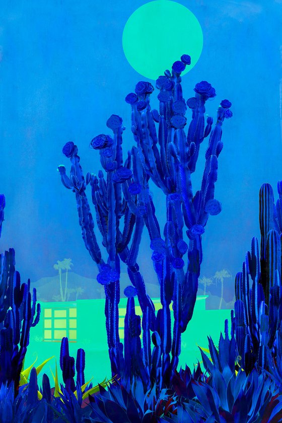 Cactus Moonlight