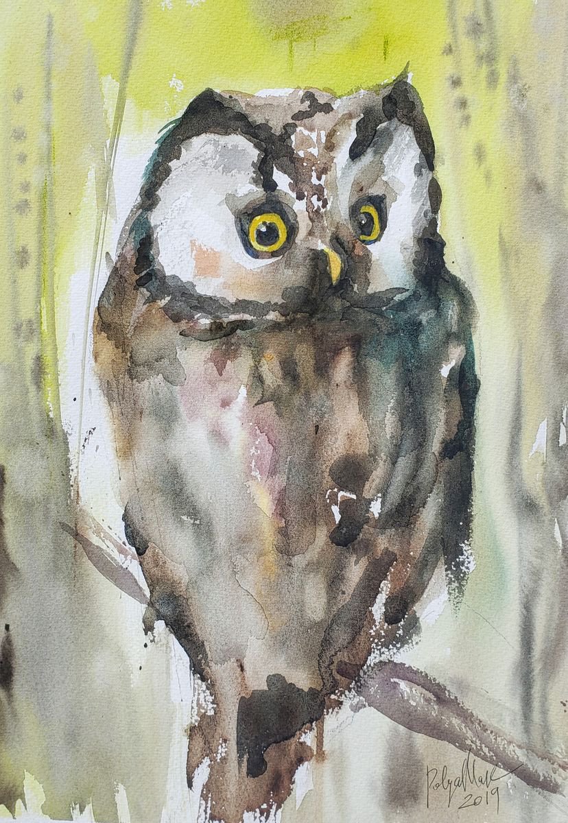 An Owl by Polina Morgan