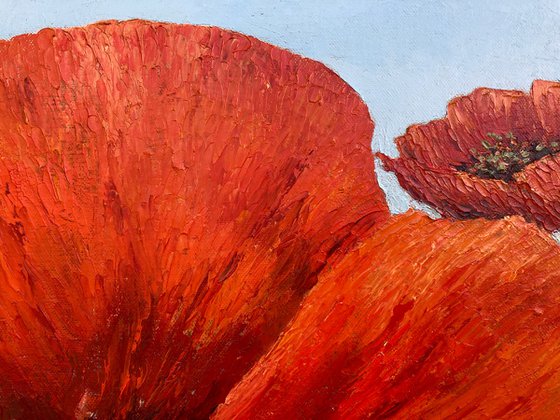 Poppies