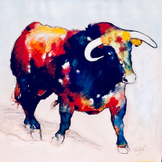 Colourfull bull