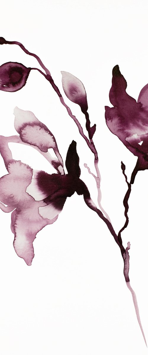 Magnolia No. 42 by Elizabeth Becker