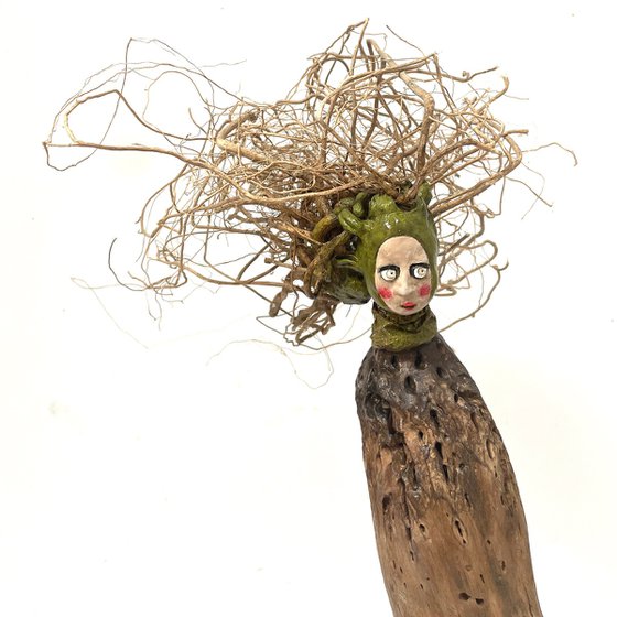 Dryad, Ostréïdes series
