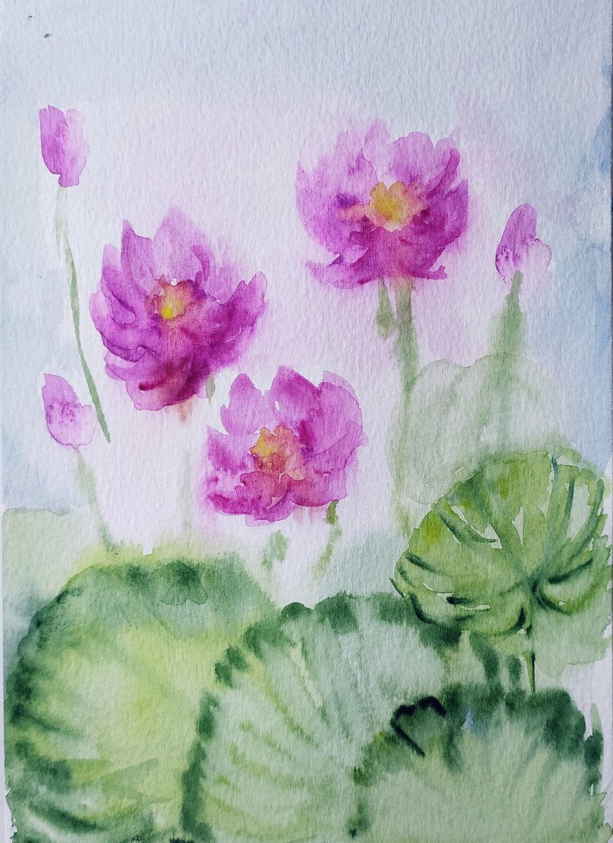 Pink Water Lilies Sl. No 17 watercolors size 5.8x 8.3 by Asha Shenoy
