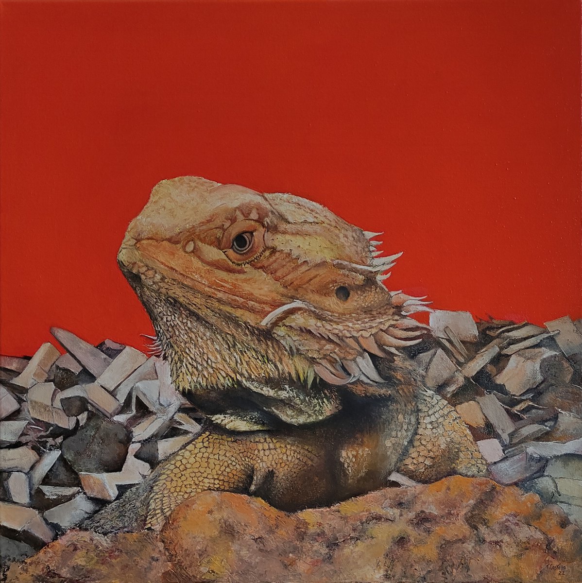 Photorealistic Animal Oil Painting By Tomas Castano, 24 X 24", Iguana, Original Artwork
