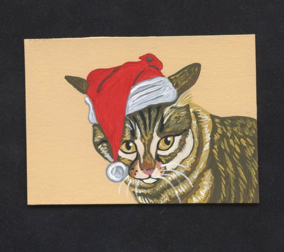 Brown Tabby Cat Pet Christmas