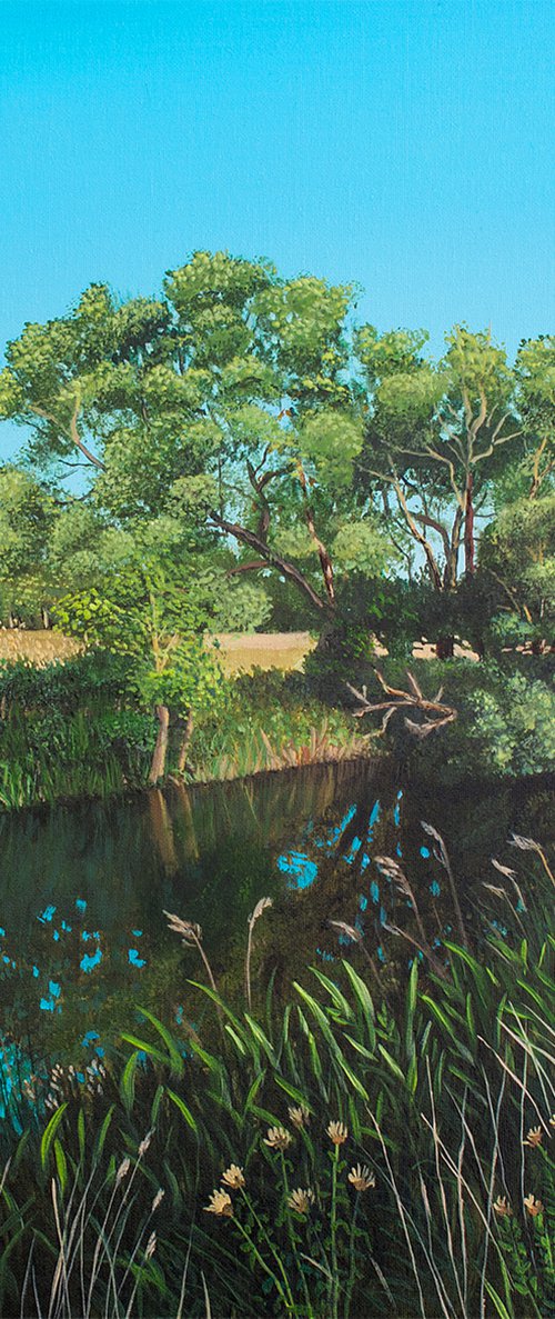 Along The Riverside by Dietrich Moravec