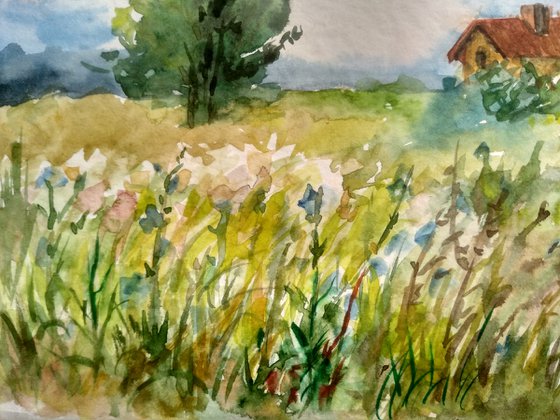 Meadow landscape