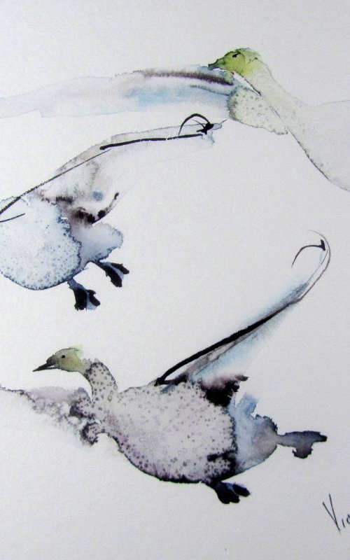 A Flock of Swans in Flight by Violeta Damjanovic-Behrendt