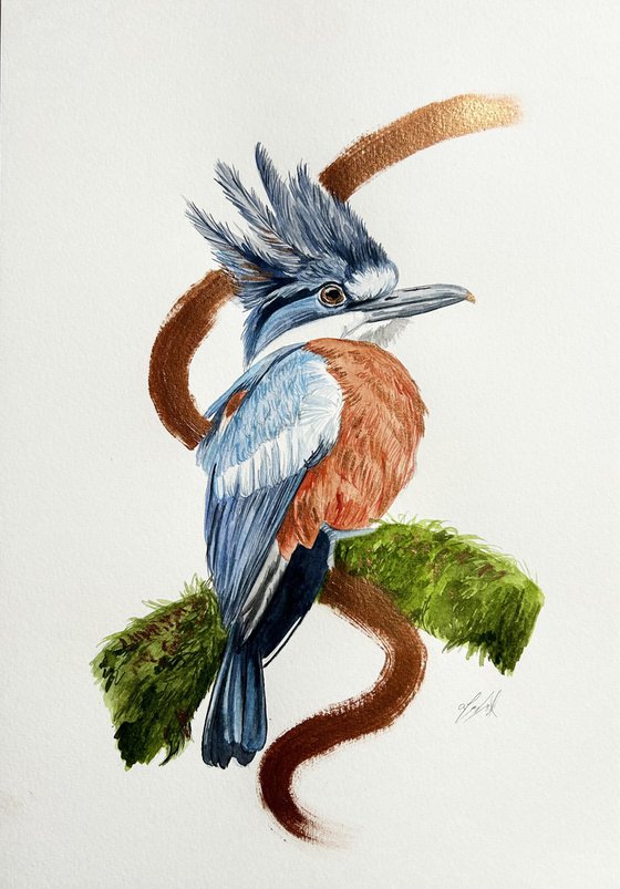 Kingfisher