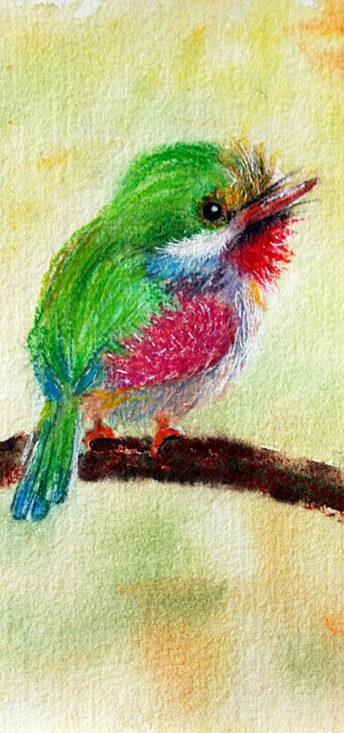 Hummingbird by Salana Art Gallery