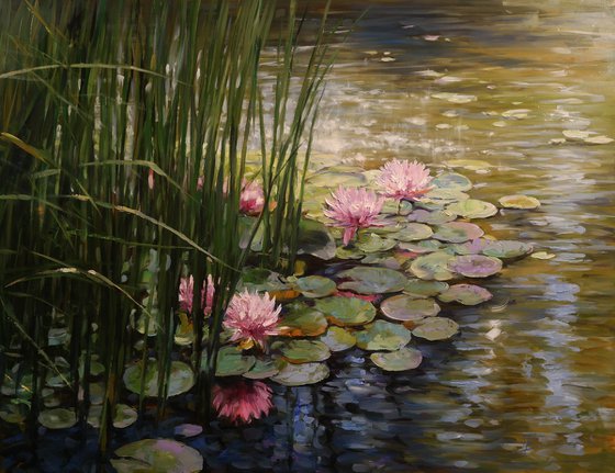 "Morning Harmony"