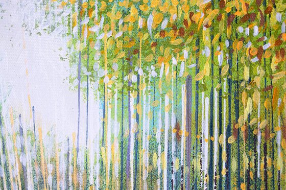 Sunlight Through Autumn Trees