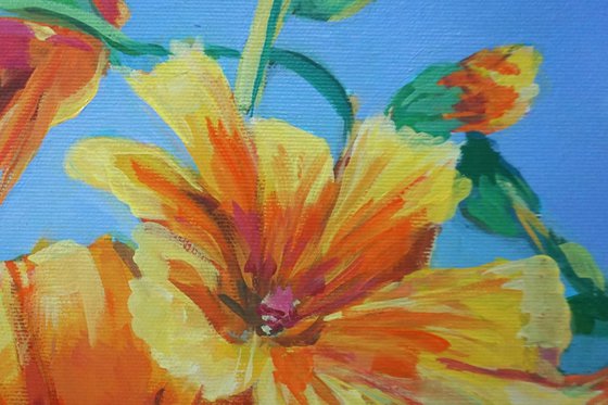 Yellow flowers