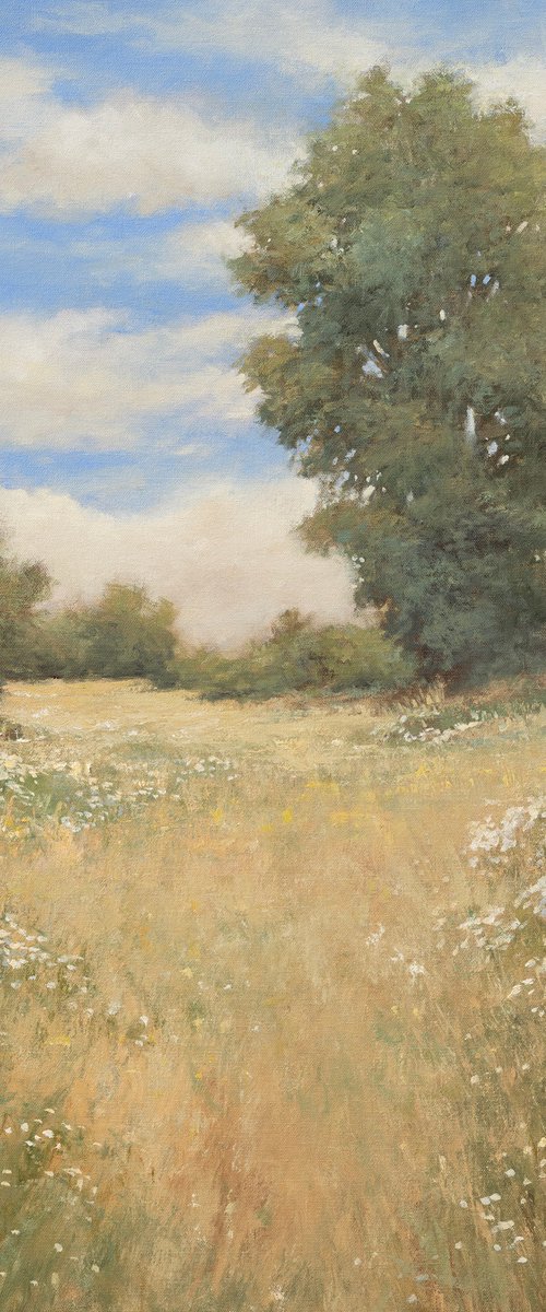 Summer Path 261014 by Don Bishop