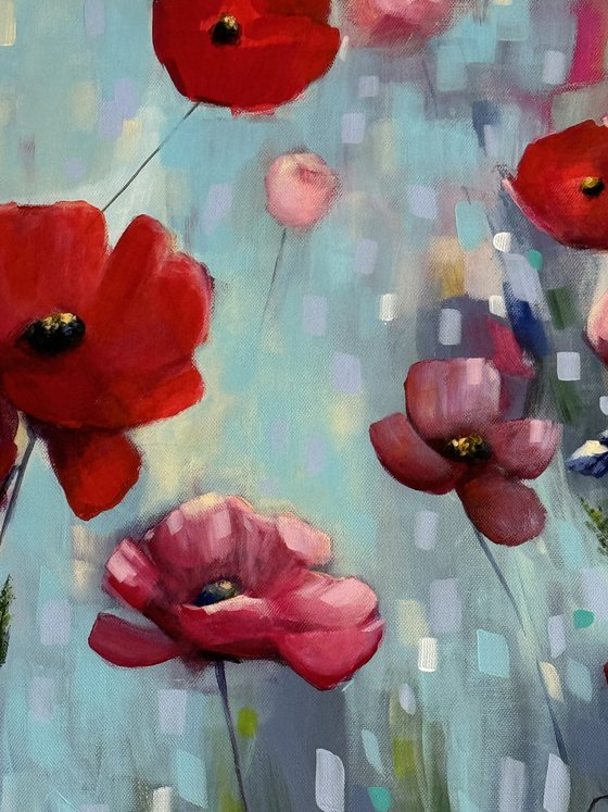 Poppies Land 12