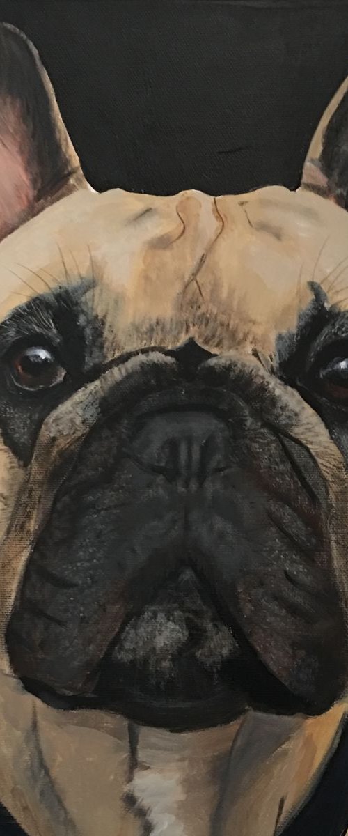 DEXTER FRENCH BULL DOG - PET PORTRAIT COMMISIONS by ELAINE ASKEW