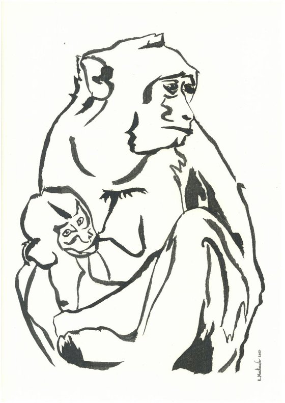 Monkey I Animal Drawing