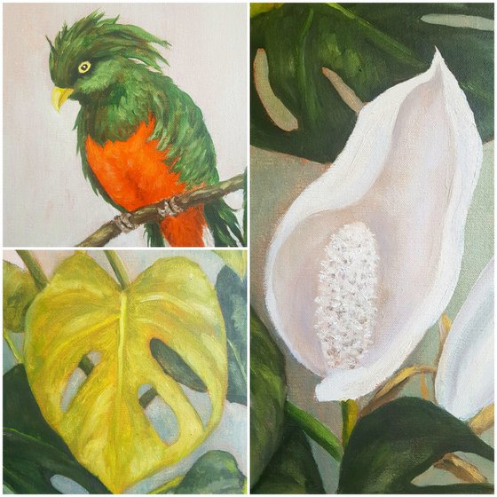 Monstera with Parrot