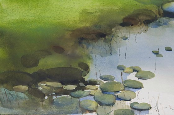 Leafy pattern tranquil water 2