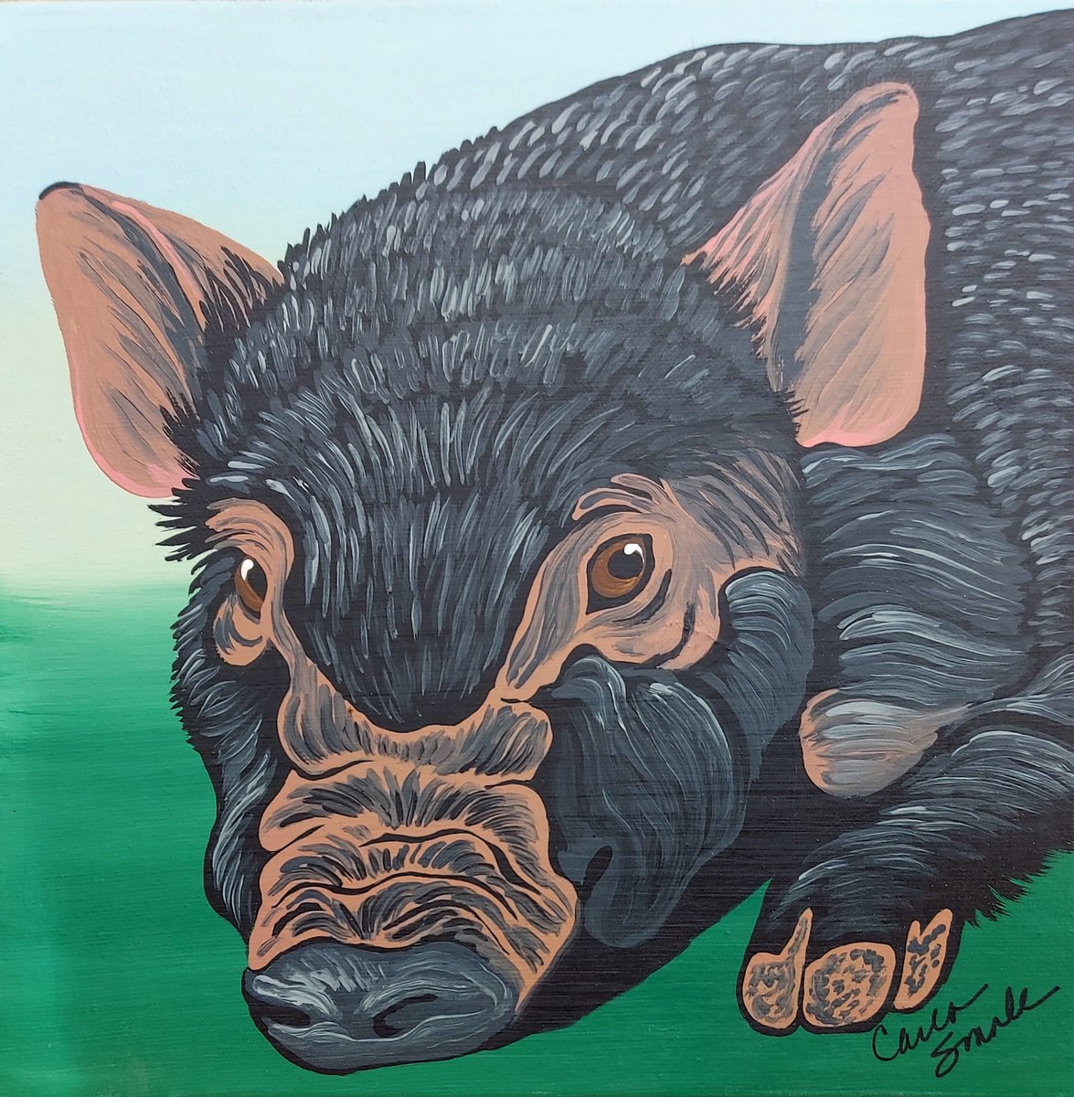 Black Pig Pet by Carla Smale