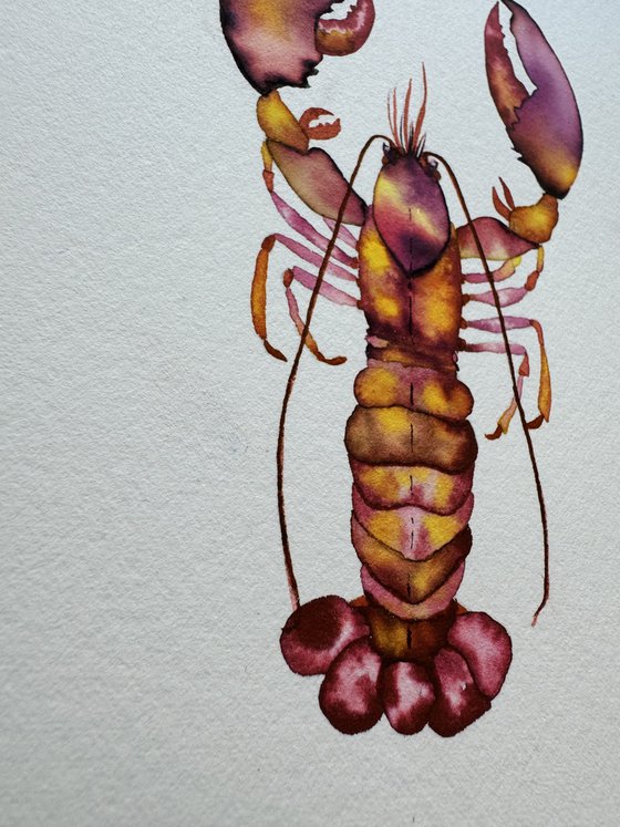 Original Watercolour Lobster