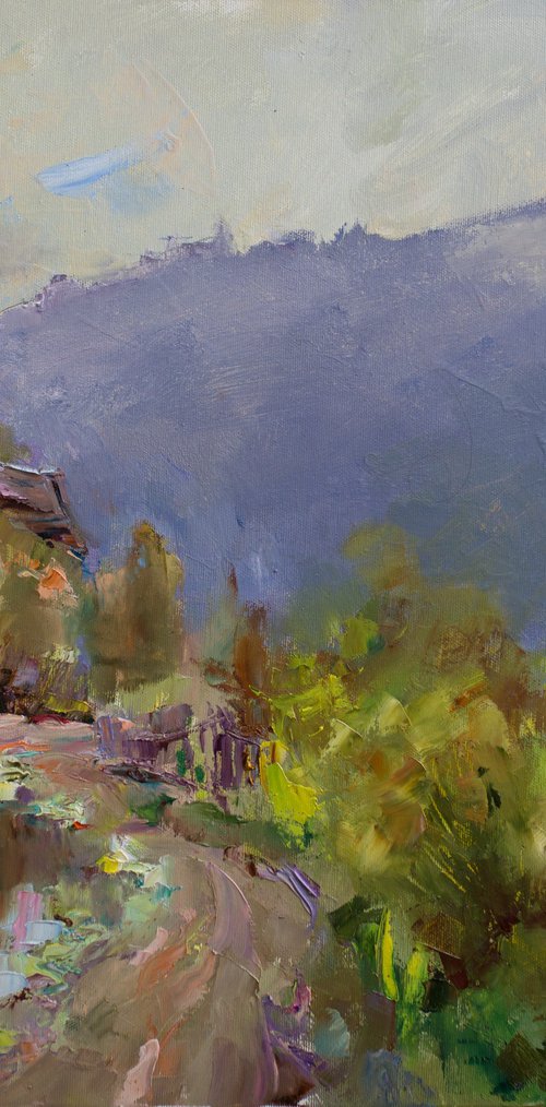 After rain in the mountains by Olha Laptieva