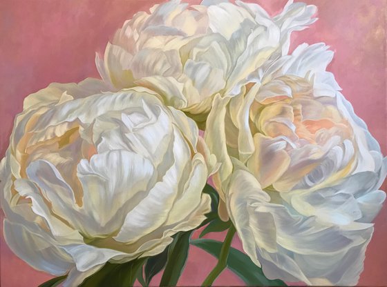 White peonies