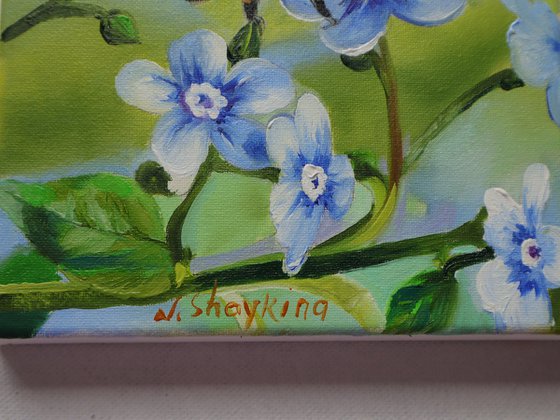 Honey Bee on Blue Flower