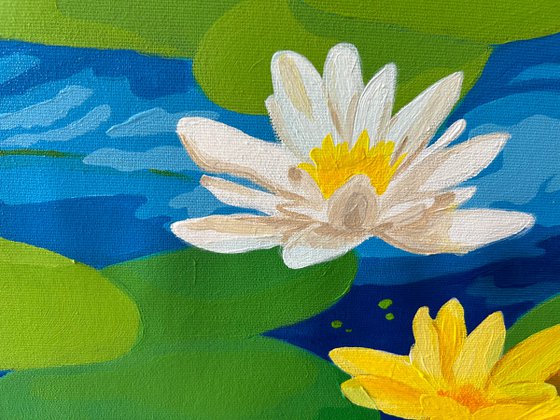 Water lilies