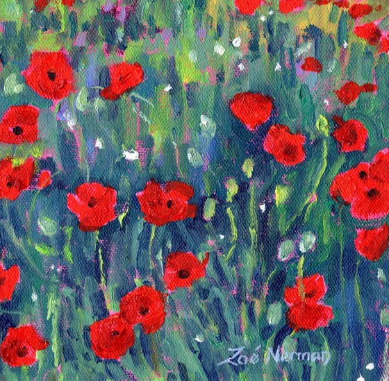 Poppy Flower Meadow