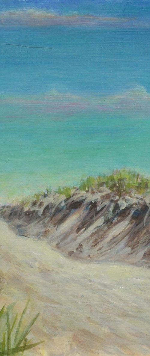 Dune Path by John Fleck