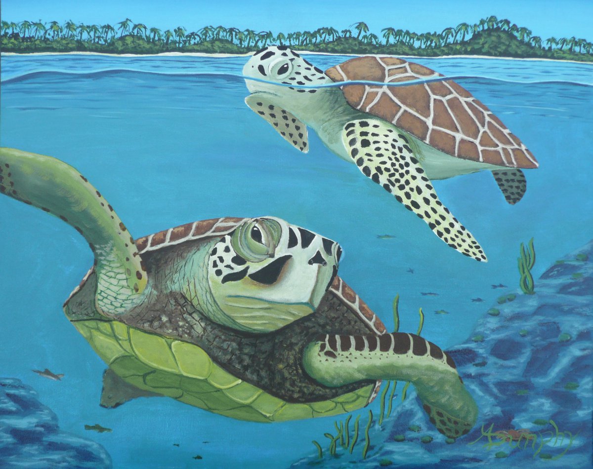 Sea Turtles by Dunphy Fine Art