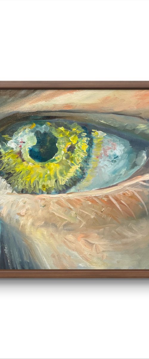 The Eye by Ryan  Louder