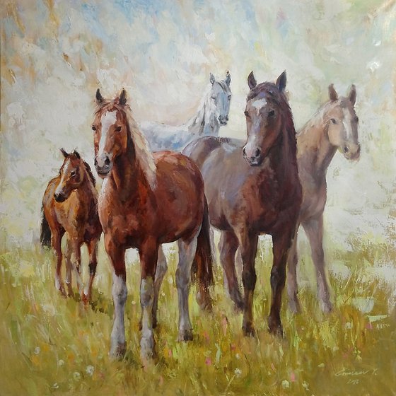 Horses