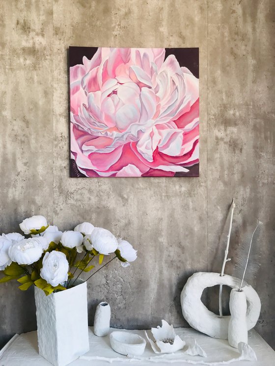 Pink peony