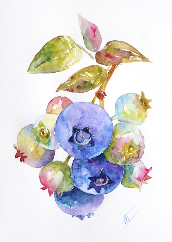 Watercolor blueberry on a branch illustration with green leaves