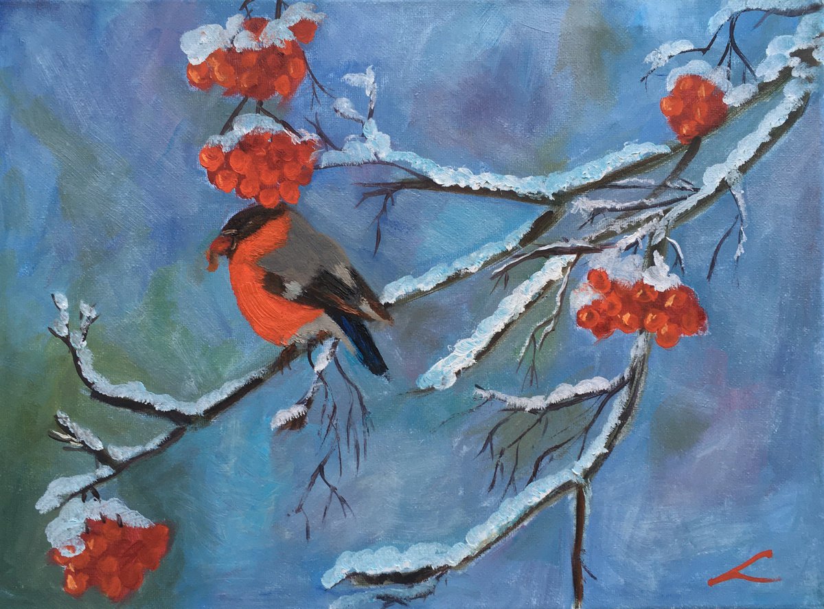 Impressionistic Animal Oil Painting By Elena Sokolova, 16 X 12, Bullfinch, Original Artwork