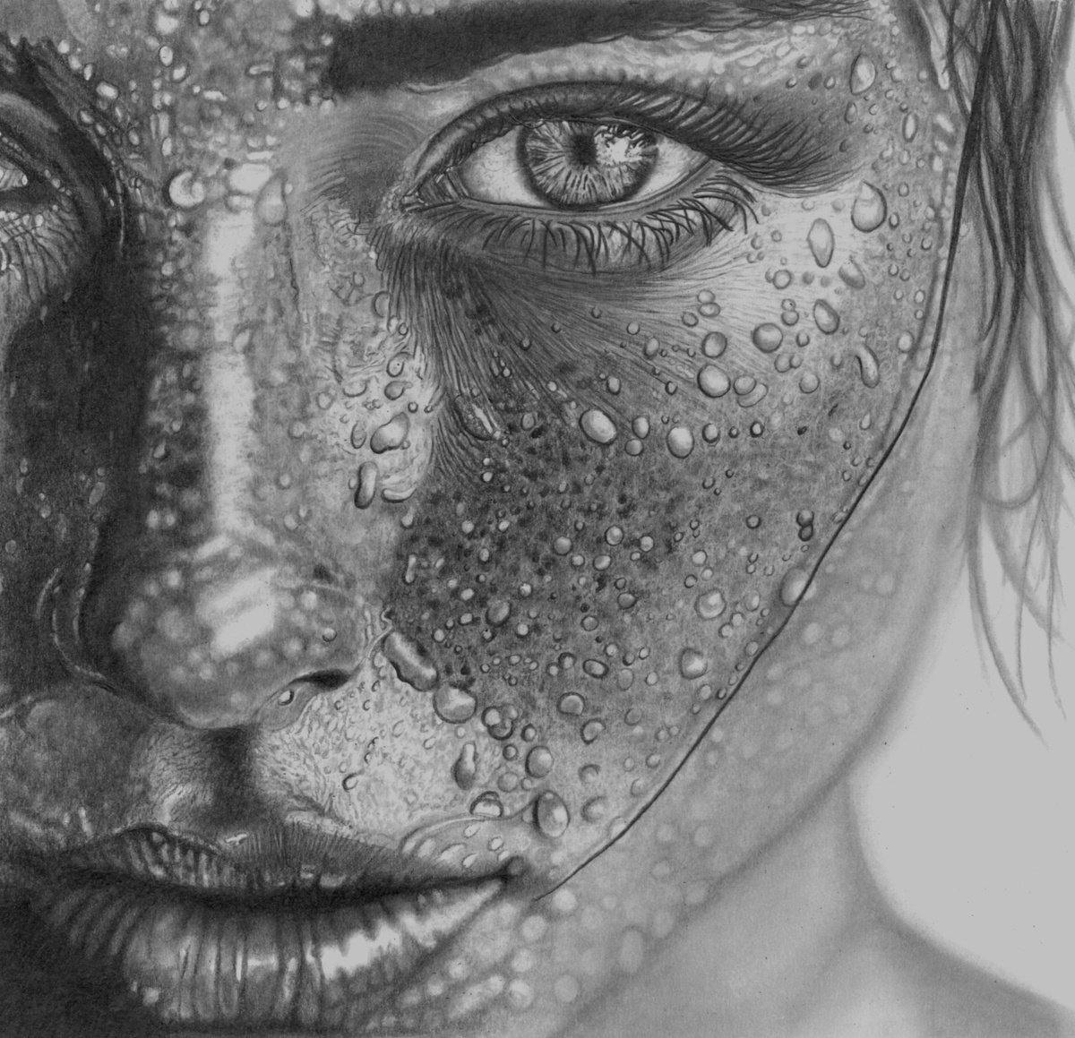 Photorealistic Pencil Drawing , Wet (2026) By Paul Stowe, 16 X 15, Artwork For Sale On Artfinder